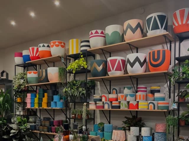 Down in the West End Barva & James offer some really unique plant pots that are sure to wow - alongside a range of impressive upmarket plants, flowers, and more.