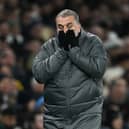 Ange Postecoglou, Manager of Tottenham Hotspur, is feeling the heat