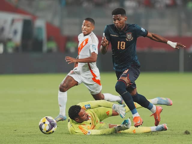 Nilson Angulo is thought to be a key target for champions Celtic this summer.
