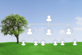 Your family tree could be bigger than you ever imagined — and DNA testing can help you trace its many branches.