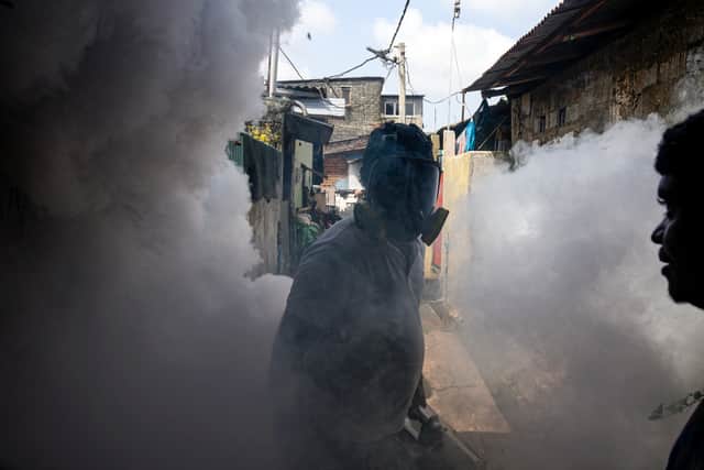 The risk of the chikungunya virus spreading to the EU has been classed as ‘high’ by the ECDC.