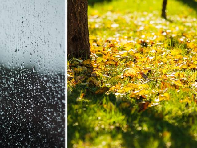 Date autumn starts as Hurricane Erin forecast to bring band of rain to UK.