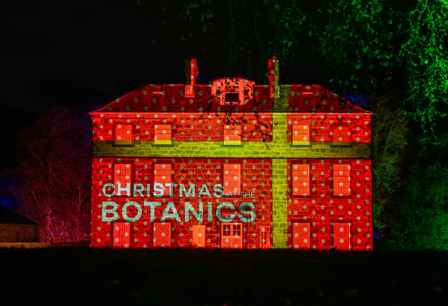 This year's Inverleith House Projection will feature illustrations from RBGE's archive collection.