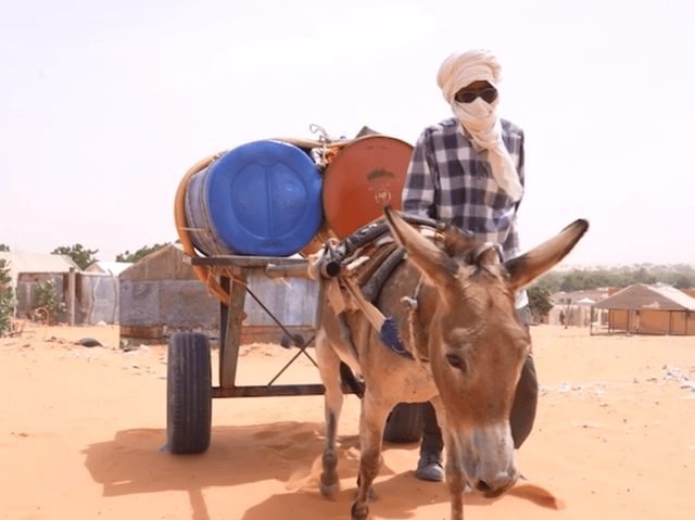 Donkeys like Lagdaf haul 400 litres of water to provide water for their community