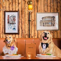 Glasgow pub anderson's launches dog-friendly Sunday roast