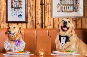 Glasgow's dog lovers will be able to share Sunday lunch with their four-legged friends