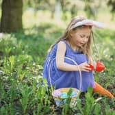 Looking for Easter eggs in the garden (photo: adobe)