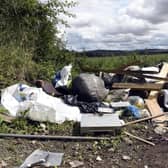 Countryside blighted...organisations are asking the public to keep their rubbish until collections return to normal, rather than risk fines of up to £40,000 for fly-tipping. (Pic: Lisa Ferguson)