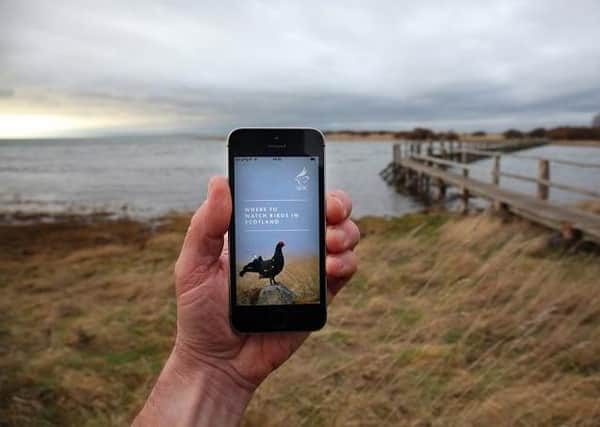 Lock on flocks...app directs twitchers to the best sites in Scotland to find a variety of species. It has been a huge success since its launch in April 2019. (Pic: Steve Cox)
