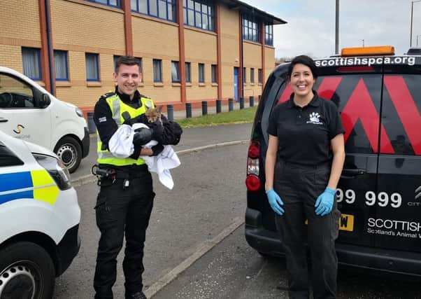 PC Robert Fox and Scottish SPCA senior animal rescue officer Jan Toraman with the rescued fox cub. (Photo: Scottish SPCA)