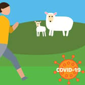 Campaign message...avoid fields with young calves or lambs while you’re safely accessing the outdoors for exercise.