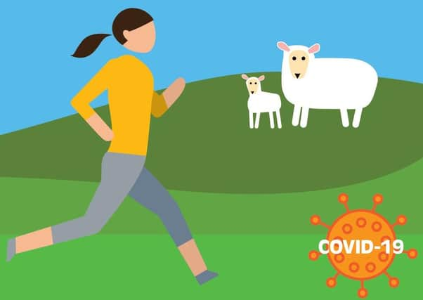 Campaign message...avoid fields with young calves or lambs while you’re safely accessing the outdoors for exercise.