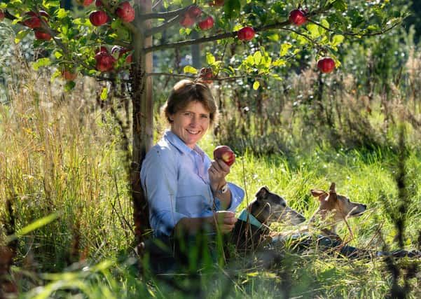 Sweet success...for Catherine Drummond-Herdman at Megginch who now hopes to see commercial apple growing revived in Scotland. (Pic: Ashley Coombes)