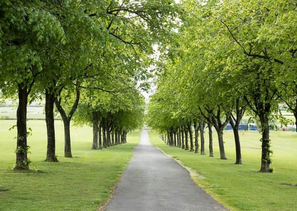 Maintenance is reseuming at Cowan park in barrhead and other greenspaces in East Renfrewshire.