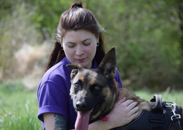 Layla with one of the staff members at the Glasgow animal rescue and rehoming centre. (Photo: Scottish SPCA)