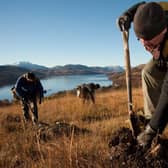 Native tree planting...at Loch Katrine has helped Scotland lead the way in the UK.