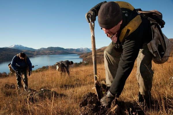 Native tree planting...at Loch Katrine has helped Scotland lead the way in the UK.
