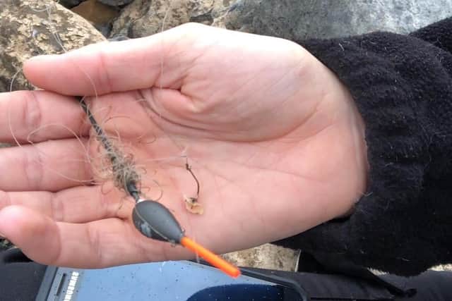 The fishing wire removed by rescue officer Rebecca Carr. (Photo: Scottish SPCA)