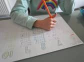 The plans to reopen schools in August are grounded on scientific and medical advice, according to the Scottish Government.