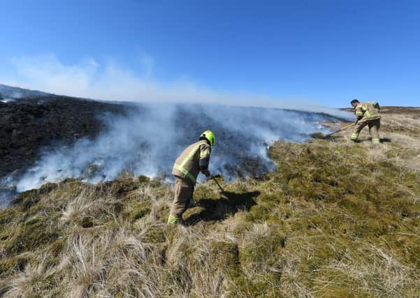 Crews tackle a  wildfire at Kilpatrick Hills reservoir earlier this years. Photo: John Devlin