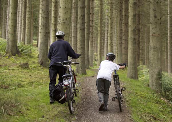 It will soon be time to enjoy the outdoors at Glentress Forest, near Peebles. Photo: Forestry and Land Scotland/FLS