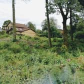 Residents claim that after felling the place was decimated.