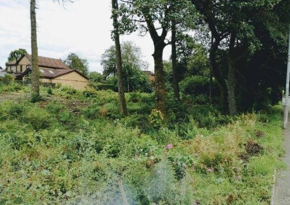 Residents claim that after felling the place was decimated.