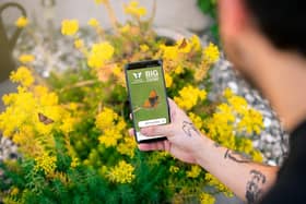 People are asked to spend 15 minutes in an outdoor space counting the amount and type of butterflies they see.