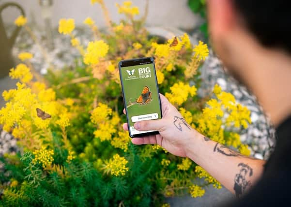 People are asked to spend 15 minutes in an outdoor space counting the amount and type of butterflies they see.