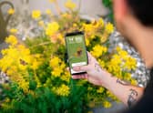 People are asked to spend 15 minutes in an outdoor space counting the amount and type of butterflies they see.