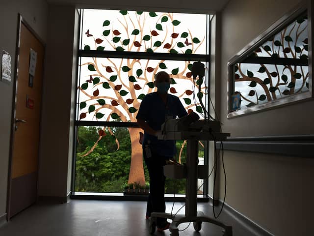 Forth Valley Royal Hospital has a Tree of Life to recognise and remember all the patients who were cared for on the Covid-19 ward. Each leaf represents a patient who has been discharged or sadly died. Photo: Michael Gillen