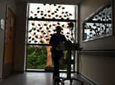 Forth Valley Royal Hospital has a Tree of Life to recognise and remember all the patients who were cared for on the Covid-19 ward. Each leaf represents a patient who has been discharged or sadly died. Photo: Michael Gillen