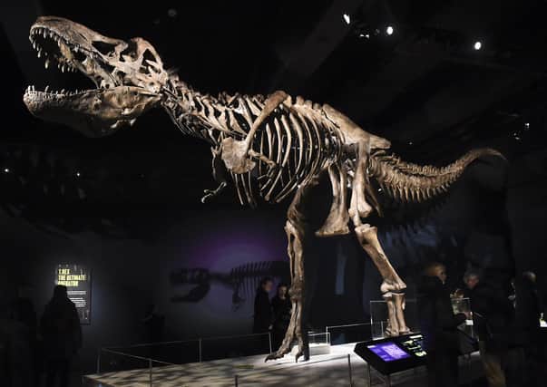 The financial support will breathe new life into Scotland's independent museums post lockdown