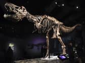 The financial support will breathe new life into Scotland's independent museums post lockdown