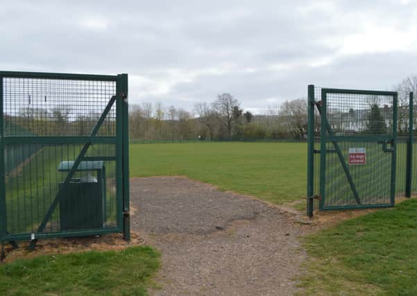 If given the go-ahead, the pitch would be installed on the playing fields at Netherlee Primary.