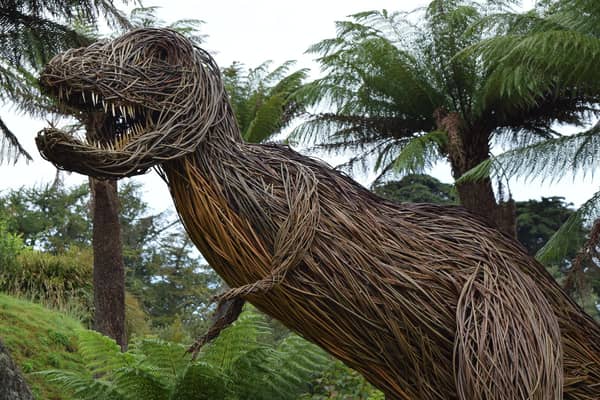 Enjoy a real life encounter...with Rexy, the willow dinosaur, at Logan Botanic Garden in Dumfries and Galloway.