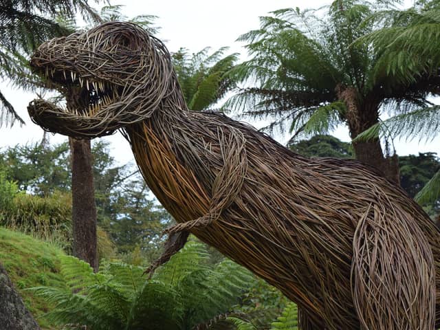 Enjoy a real life encounter...with Rexy, the willow dinosaur, at Logan Botanic Garden in Dumfries and Galloway.