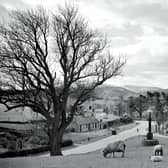 Vintage view of Skirling; happily little has changed in the sixty years since it was taken