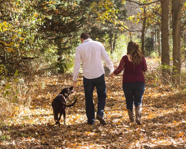 A walk...is the best medicine to cope with pandemic stress, along with keeping in contact with our family and friends.