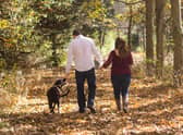 A walk...is the best medicine to cope with pandemic stress, along with keeping in contact with our family and friends.