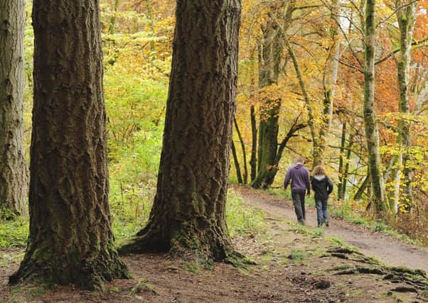 Take a walk on the wild side...this autumn to help maintain your well-being but please mind the Scottish Outdoor Access Code when you do. (Pic: Lorne Gill)