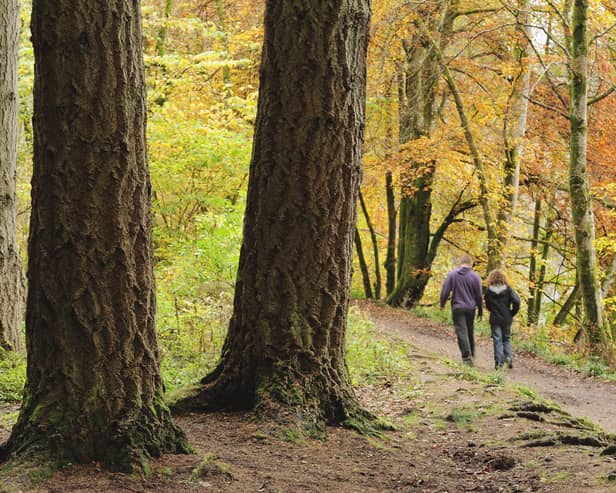 Take a walk on the wild side...this autumn to help maintain your well-being but please mind the Scottish Outdoor Access Code when you do. (Pic: Lorne Gill)