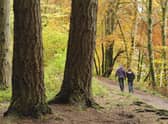 Take a walk on the wild side...this autumn to help maintain your well-being but please mind the Scottish Outdoor Access Code when you do. (Pic: Lorne Gill)