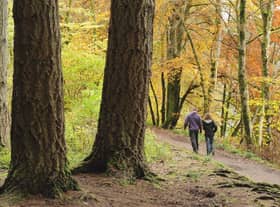 Take a walk on the wild side...this autumn to help maintain your well-being but please mind the Scottish Outdoor Access Code when you do. (Pic: Lorne Gill)