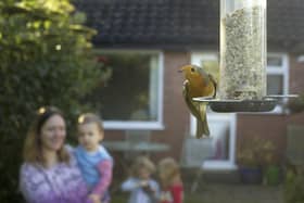 Families are being invited to take part in this weekend's RSPB Big Garden Birdwatch.