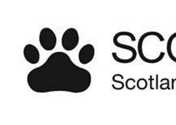 The Scottish SPCA has renewed calls for the public to buy a puppy safely after receiving multiple reports of seriously ill puppies in recent days.

Scotland’s animal welfare charity has been contacted about four puppies sold by suspected puppy dealers. In recent days, two of these puppies have passed away whilst a third is unwell. The Scottish SPCA’s Special Investigations Unit has launched an investigation amid an escalation of reports of puppy farming.
Inspectors from the Scottish SPCA have launched 78 investigations in to reports of puppy farming in October alone amid growing concerns about the trade. The Society’s animal helpline has fielded 523 calls from people with concerns about puppy farming so far in 2020 and it is believed dealers are using coronavirus restrictions to confuse buyers in to parting with significant amounts of cash due to the inflated prices of dogs.
Cocakpoo Maxi passed away on Saturday 24 October, less than a week after his family purchased him. He seemed lively when he was first ta