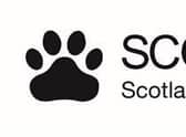 The Scottish SPCA has renewed calls for the public to buy a puppy safely after receiving multiple reports of seriously ill puppies in recent days.

Scotland’s animal welfare charity has been contacted about four puppies sold by suspected puppy dealers. In recent days, two of these puppies have passed away whilst a third is unwell. The Scottish SPCA’s Special Investigations Unit has launched an investigation amid an escalation of reports of puppy farming.
Inspectors from the Scottish SPCA have launched 78 investigations in to reports of puppy farming in October alone amid growing concerns about the trade. The Society’s animal helpline has fielded 523 calls from people with concerns about puppy farming so far in 2020 and it is believed dealers are using coronavirus restrictions to confuse buyers in to parting with significant amounts of cash due to the inflated prices of dogs.
Cocakpoo Maxi passed away on Saturday 24 October, less than a week after his family purchased him. He seemed lively when he was first ta