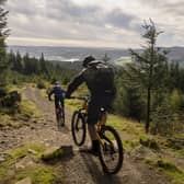 New focus...on cycling during the pandemic could be lucrative for our tourism market. Here, cyclists enjoy the paths in Glentress Forest
. (Pic: David N Anderson)