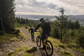 New focus...on cycling during the pandemic could be lucrative for our tourism market. Here, cyclists enjoy the paths in Glentress Forest
. (Pic: David N Anderson)