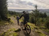New focus...on cycling during the pandemic could be lucrative for our tourism market. Here, cyclists enjoy the paths in Glentress Forest
. (Pic: David N Anderson)